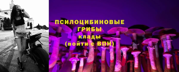 spice Богданович