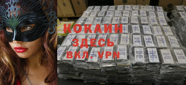 spice Богданович