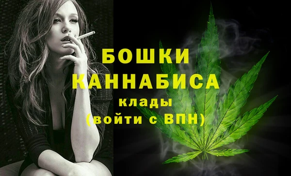spice Богданович