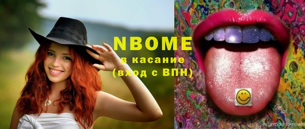 spice Богданович