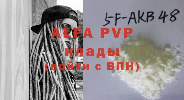 spice Богданович