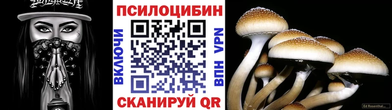 даркнет сайт  Городовиковск  Галлюциногенные грибы Psilocybe 