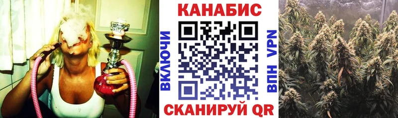 Конопля SATIVA & INDICA  где продают наркотики  Городовиковск 